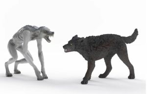 SHL14906 - Werwolf vs. Animagus