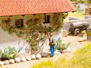 NOC14118 - Kletterrosen