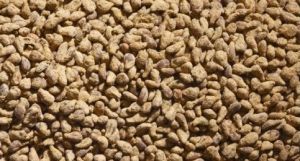 JUW23092 - Beutel mit 150grs Rote Bete
