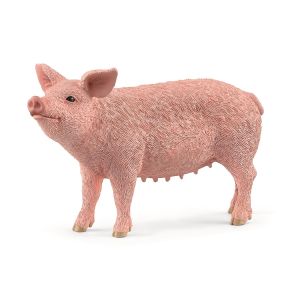 SHL13933 - Schwein