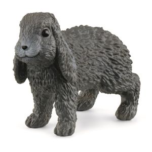 SHL13935 - lop kaninchen