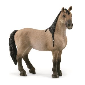 SHL13948 - Criollo Stute Definitiv