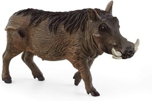 SHL14843 - Warzenschwein