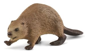 SHL14855 - Nycticèbe