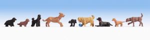 NOC15719 - Verschiedene Hunde
