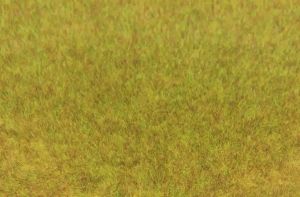 HEK3371 - Beutel 75 g wildes Herbstgras 5-6 mm