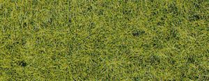 HEK3376 - Beflockungsmaterial XL 10 mm Frühling – 50 g