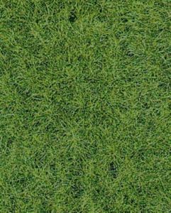 HEK1871 - Woodland Wildgrasteppich 40 x 24 cm