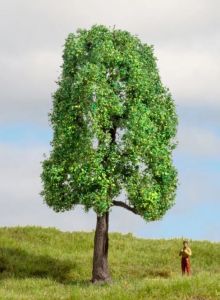 NOC20101 - Esche 13 cm