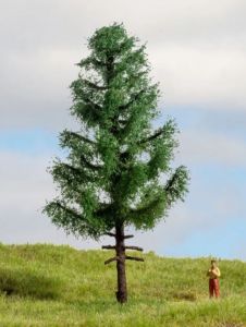 NOC20195 - Hochstamm-Fichte, 14 cm
