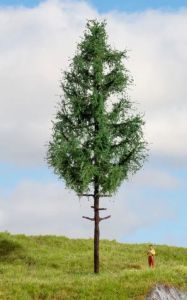 NOC20196 - Hochstamm-Fichte, 21 cm