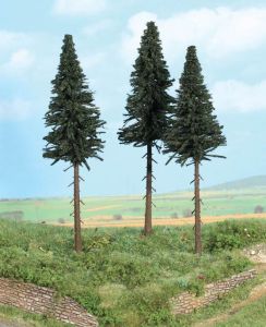 HEK2119 - 3 Standard-Tannen 17 cm