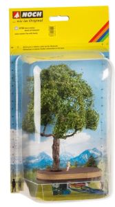 NOC21768 - Baum mit einer Mikrobewegungsschaukel