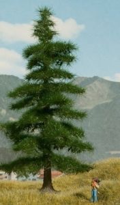 NOC21811 - Nordmannbaum 14;5 cm