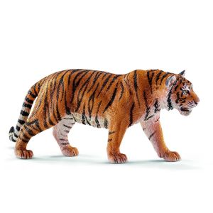 SHL14729 - männlicher bengalischer Tiger