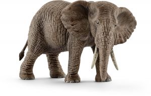 SHL14761 - weiblicher afrikanischer elefant