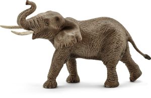 SHL14762 - Männlicher afrikanischer Elefant