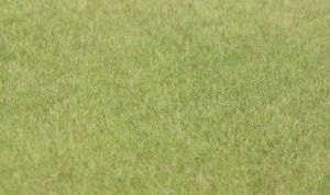 HEK33541 - Grasbeflockung 75 g. 5-6mm