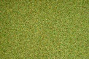 NOC00260 - Frühlingsgrasmatte 120x60cm