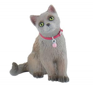 BUL66372 - Russische Katze