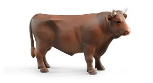 BRU2309 - Bulls Maßstab: 1/16