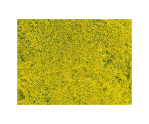 HEK1593 - Rapsblumenwiese Grasteppich 28 x 14 cm