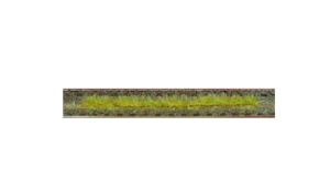HEK1812 - Packung mit 10 Herbstgrasstreifen 10 cm