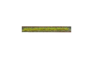 HEK1810 - Packung mit 10 Frühlingsgrasstreifen 10 cm