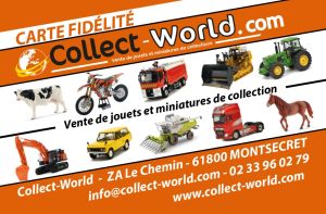 FIDELITE - Treuekarte COLLECT-WORLD