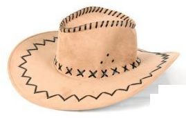 LP00008 - Beige Cowboyhut