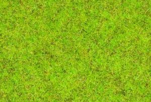 NOC08300 - Gras mittelgrün - 2;5 mm - 20 g