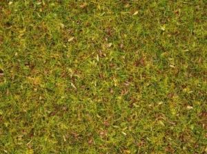 NOC08330 - Gras mit Blumen - 2;5 mm - 20 g