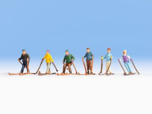 NOC15828 - Skifahrer