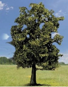 NOC21690 - Buche - 13 cm