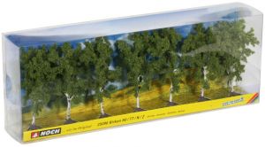 NOC25096 - 7 Birken