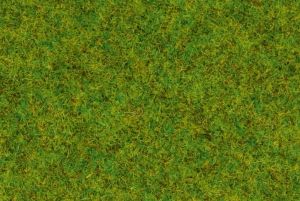 NOC50210 - Gras; mittelgrün - 100 g - 2;5 mm