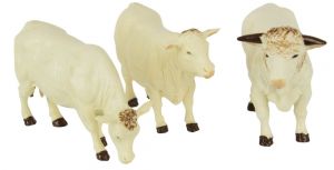 BRI43240 - 3 Charolais-Kühe