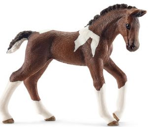SHL13758 - Fohlen Trakehnen