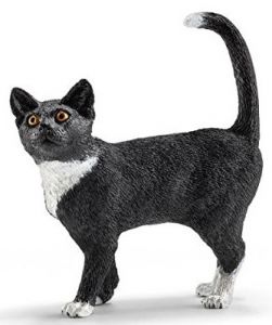 SHL13770 - Katze steht