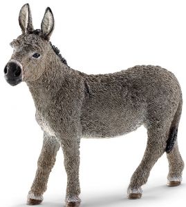 SHL13772 - Esel