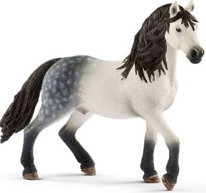 SHL13821 - Andalusischer Hengst