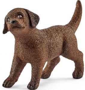 SHL13835 - Labrador-Retriever-Welpe