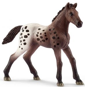 SHL13862 - Appaloosa-Fohlen