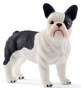 SHL13877 - Französische Bulldogge