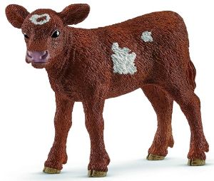 SHL13881 - Texas-Longhorn-Kalb