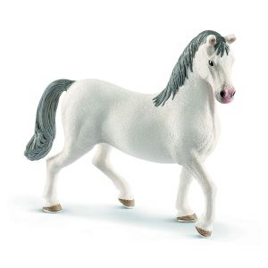 SHL13887 - Lipizzaner Hengst