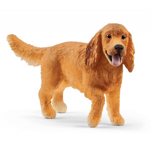 SHL13896 - Englischer Cockerspaniel