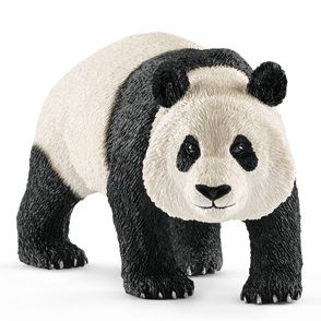 SHL14772 - Männlicher Riesenpanda