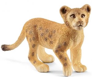 SHL14813 - Löwenjunges