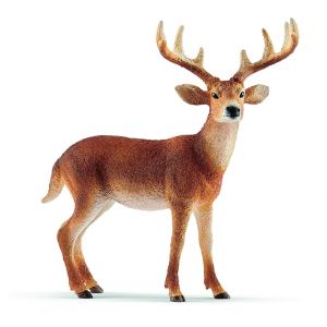 SHL14818 - Virginia-Hirsch